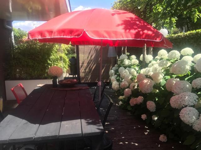 Geranio Bed & Breakfast Made Exterior photo